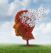 Is it Dementia or Just Memory Loss?