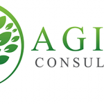Aging Consultants, LLC