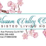 Blossom Valley Oasis LLC | Assisted Living Home