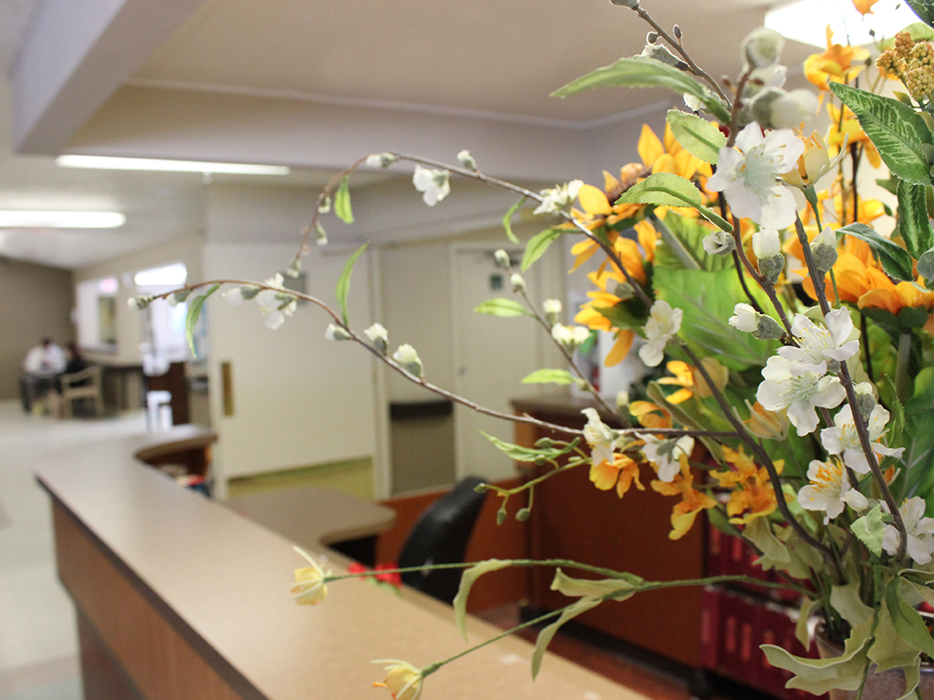 senior care centers nursing homes